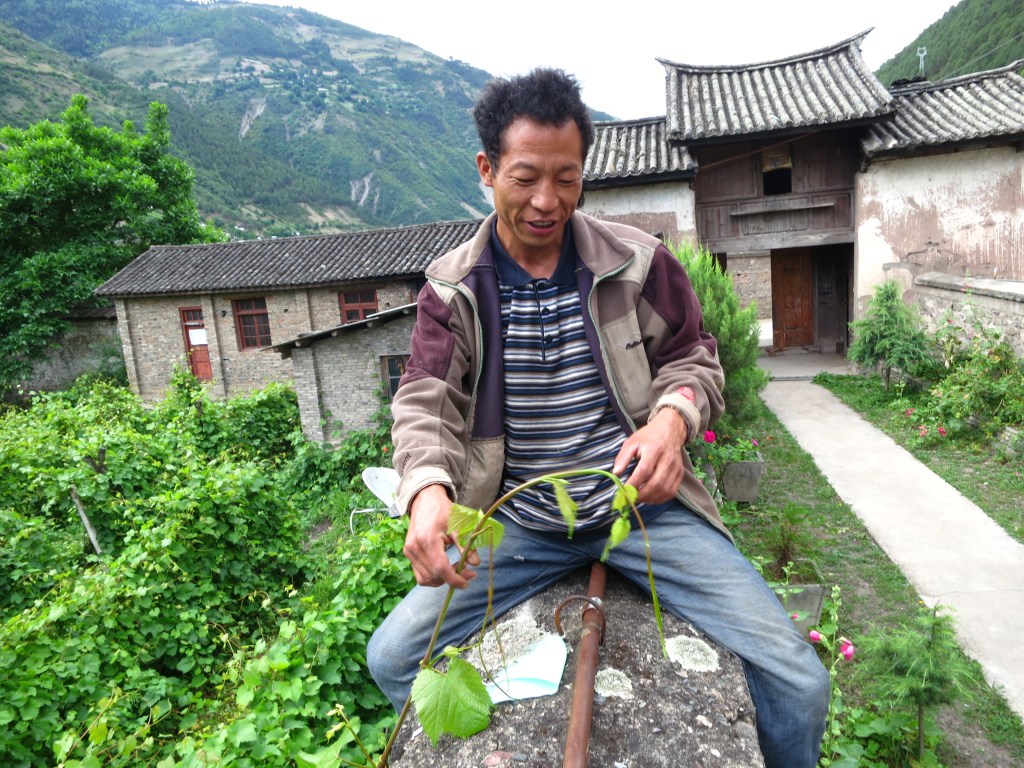 Inheriting Winemaking: Cizhong ‘Rose Honey’ Wine Production on the Upper Mekong River in Northwest Yunnan Province,&nbsp;China